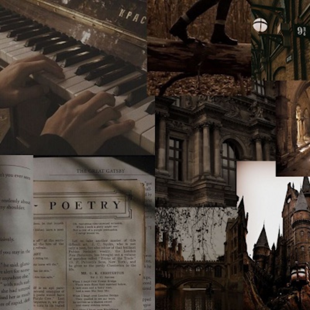 Meet your Posher, Hadley